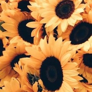 Meet your Posher, Ainabazi